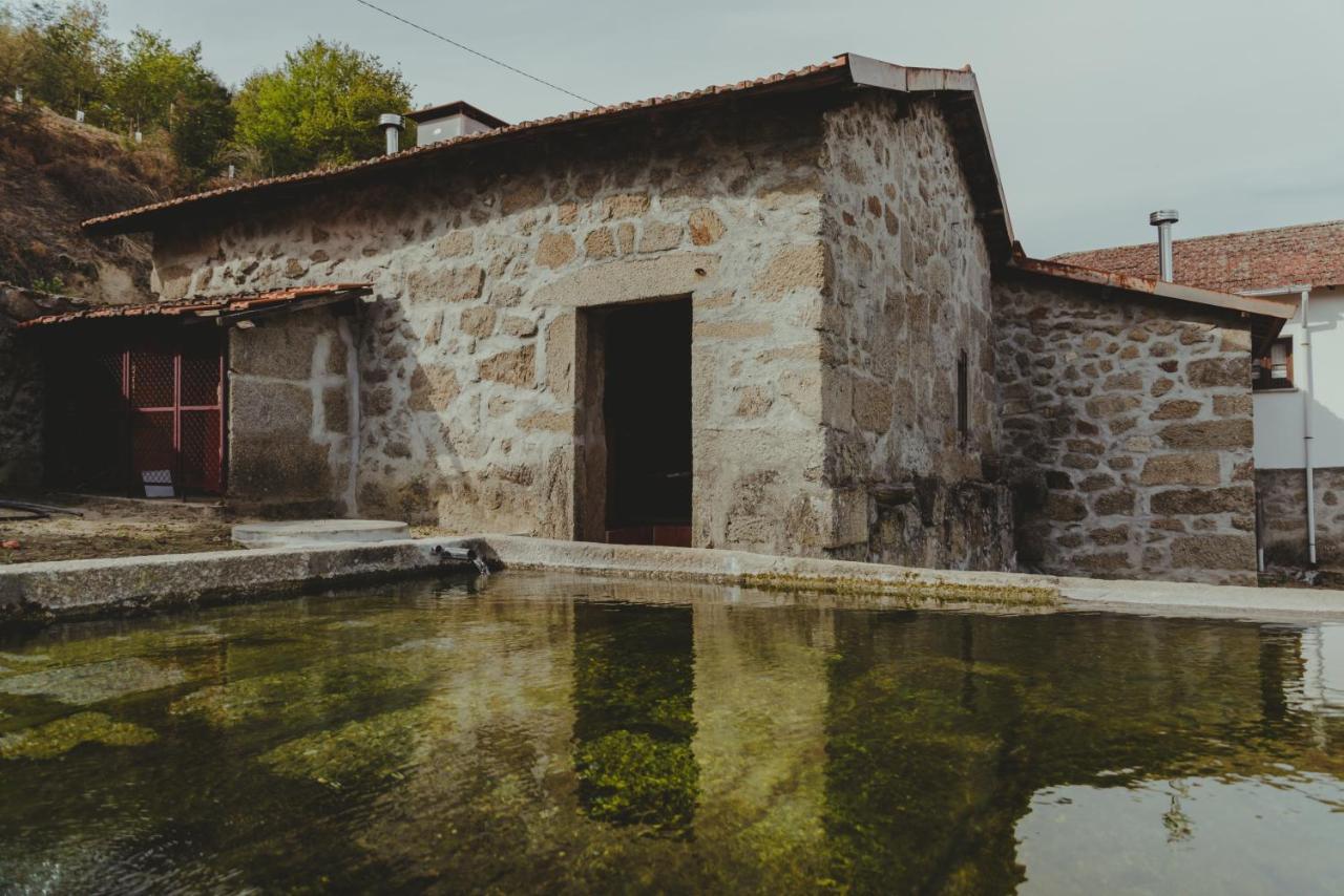 펠게이라스 The Farmhouse I - Uma Quinta Deslumbrante 빌라 외부 사진